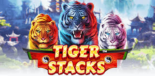 Newtown Ntc33 tiger stacks