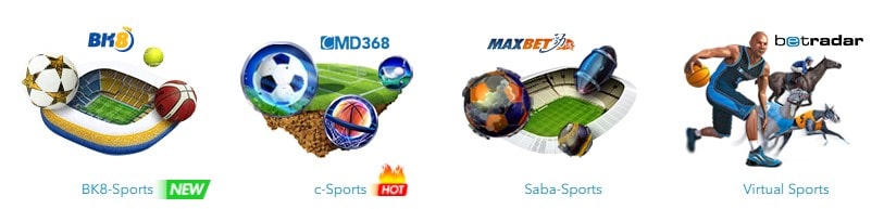 BK8 Sports Betting